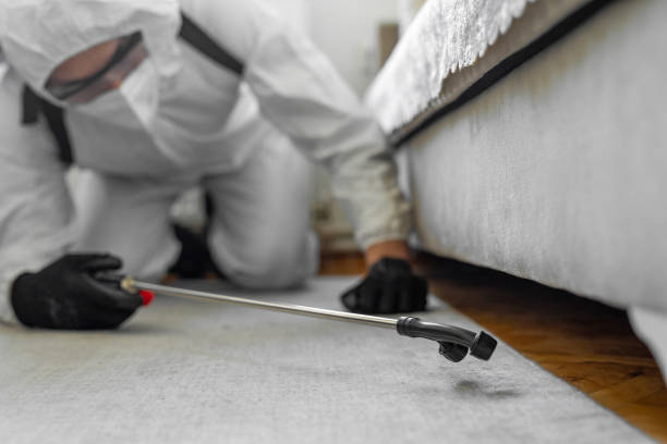 Professional Termite Control technician working in Ball Pond, CT