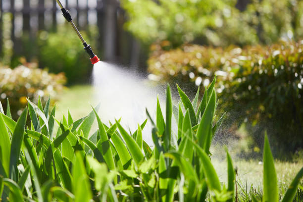 24/7 Emergency Termite Control experts in Ball Pond, CT