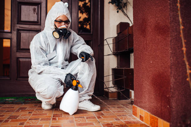 Reliable Termite Control contractor in Ball Pond, CT by Nex Pest Control