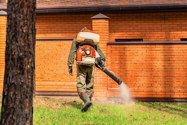 Top rated local Termite Control specialists in Ball Pond, CT